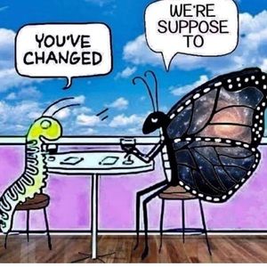 Meet your Posher, Alaina